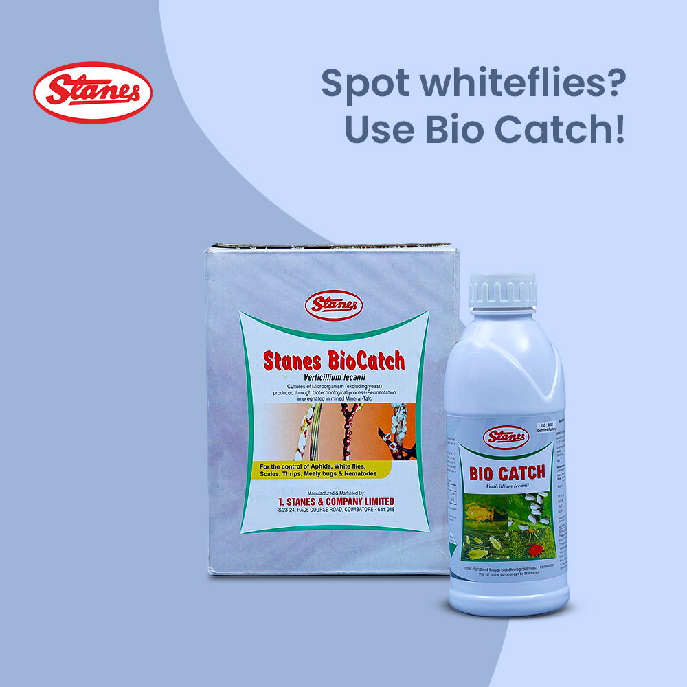 BioCatch Image